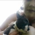 Photo of Hope ** A Special Puppy **