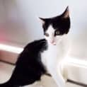Photo of The Clawsome Nardo! 
