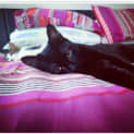 Photo of Lotti