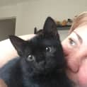 Photo of Boo π» Our Animated Uncoordinated Kitten