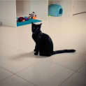 Photo of Lotti