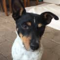 Photo of Kyzer @ Squawks West Gosford