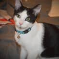 Photo of The Clawsome Nardo! 