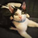 Photo of The Clawsome Nardo! 
