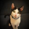 Photo of The Clawsome Nardo! 