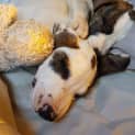 Photo of Jessie