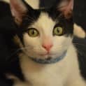Photo of The Clawsome Nardo! 