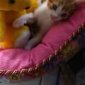 Photo of Monte