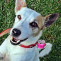 Photo of Snowy