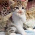 Photo of Ivy