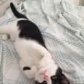 Photo of Fifi