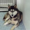 Photo of Coda