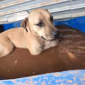 Photo of Meg