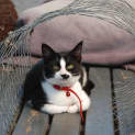 Photo of Jacqueline~Gentle Sweetheart