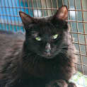 Photo of Josephine