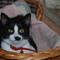Photo of Jacqueline~Gentle Sweetheart