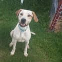 Photo of Elsie