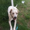 Photo of Elsie