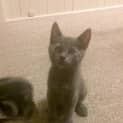 Photo of Storm