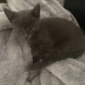 Photo of Storm