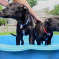 Photo of Azure 
