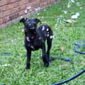 Photo of Azure 
