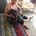 Photo of Casey ** A Total Lovebug **
