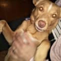 Photo of Gabby 