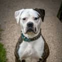 Photo of Runa