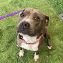 Photo of Lulu
