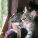 Photo of Jasmine