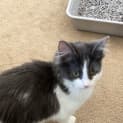 Photo of Honey