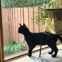 Photo of Bell