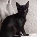 Photo of Ruby