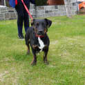 Photo of Gunther