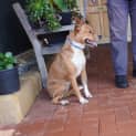 Photo of Marlee