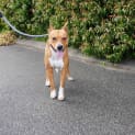 Photo of Marlee