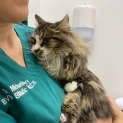 Photo of Tubby