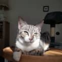 Photo of Jet
