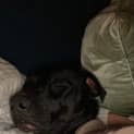 Photo of Annie