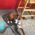 Photo of Roxy