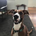Photo of Roxy