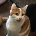 Photo of Flynn