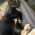 Photo of Axle