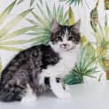 Photo of Bagel   Located In Preston