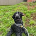 Photo of Stryder