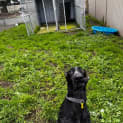 Photo of Stryder