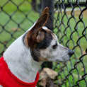 Photo of Mitzi