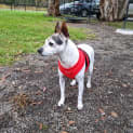 Photo of Mitzi