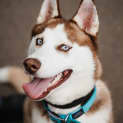 Photo of Yuki